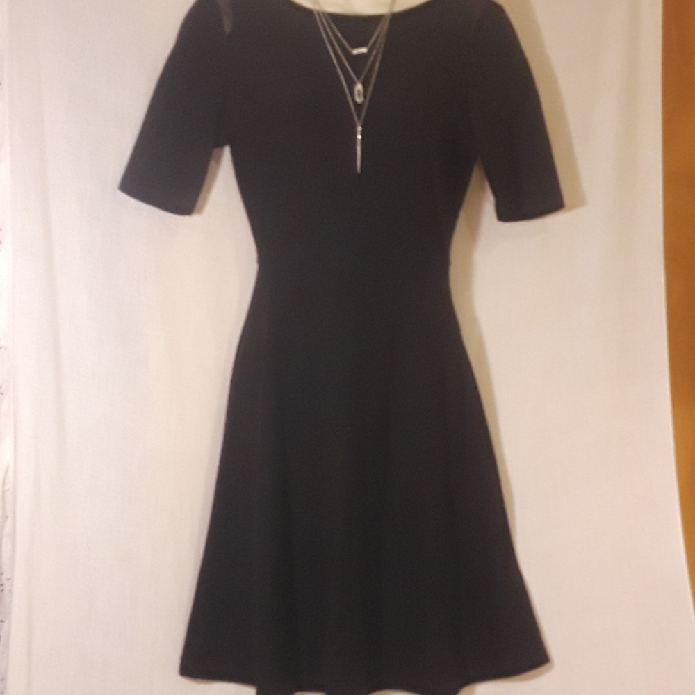 Moral Fiber Knee Length Dress with Sheer Back